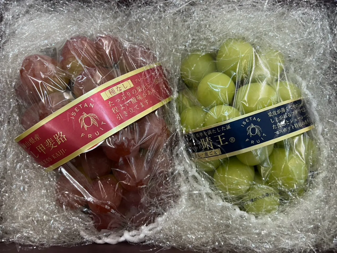 昨日、今日と2日間、